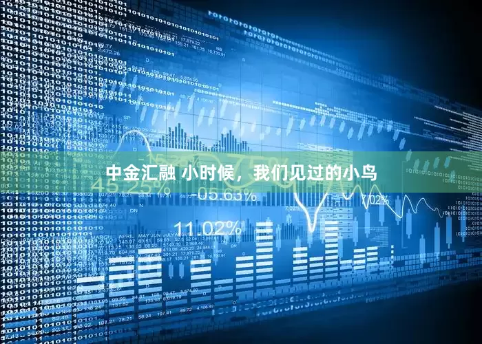 中金汇融 小时候，我们见过的小鸟