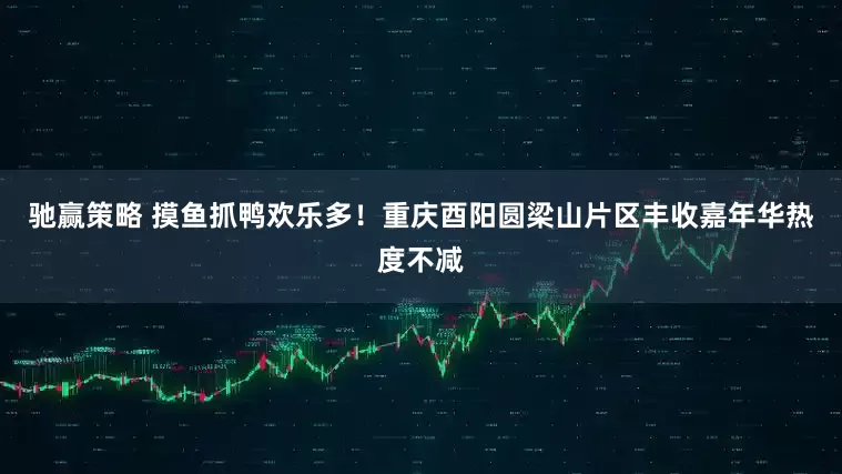 驰赢策略 摸鱼抓鸭欢乐多！重庆酉阳圆梁山片区丰收嘉年华热度不减